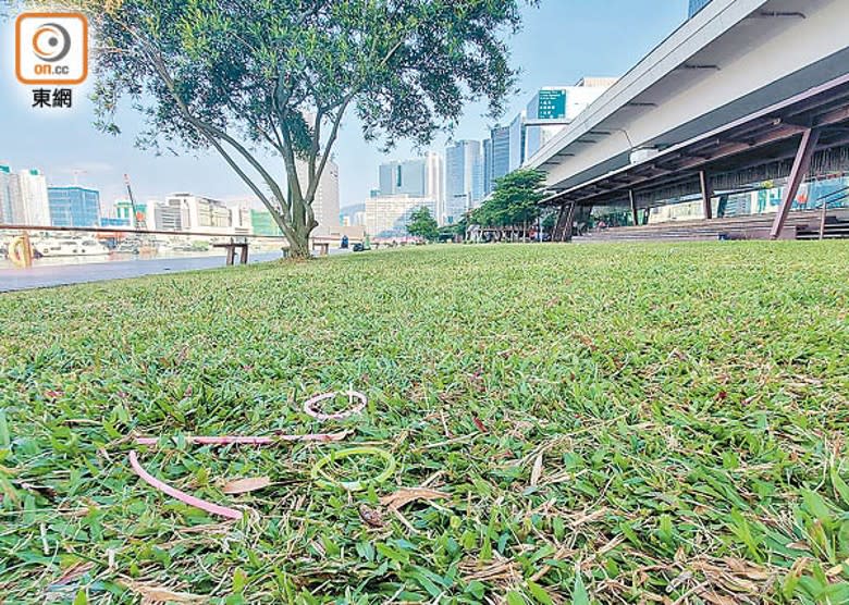 觀塘：草地上遺留螢光棒。（張駿勤攝）