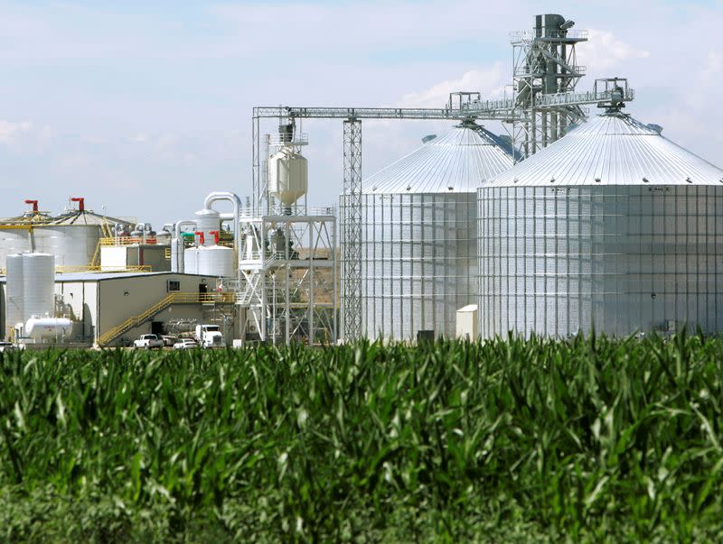 FILE PHOTO: FILE PHOTO: The Front Range Energy ethanol plant with its giant corn silos next to a cor..