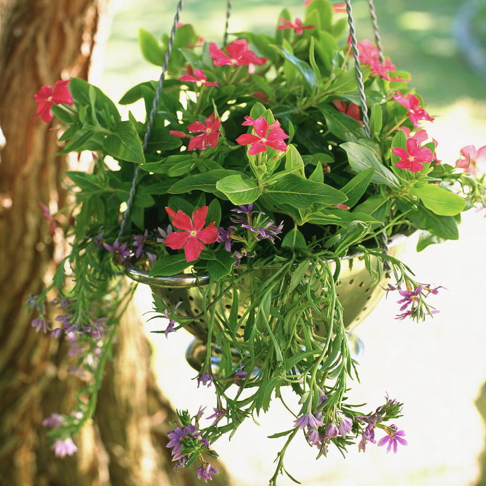 Make your own hanging basket