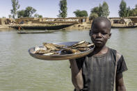 Children are mostly engaged in agricultural work in Chad. Some children in the country may be sold or trafficked against their will to work in areas of the country related to oil production. It is not unheard of for children to be forced to become soldiers. UNICEF data reveals that more than half of the country's children is said to be working.