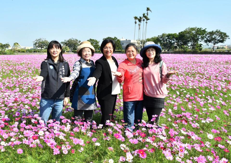 「2024春遊彰化賞花海」系列活動，埔鹽花海藝術節繽紛登場！（圖：李河錫攝）