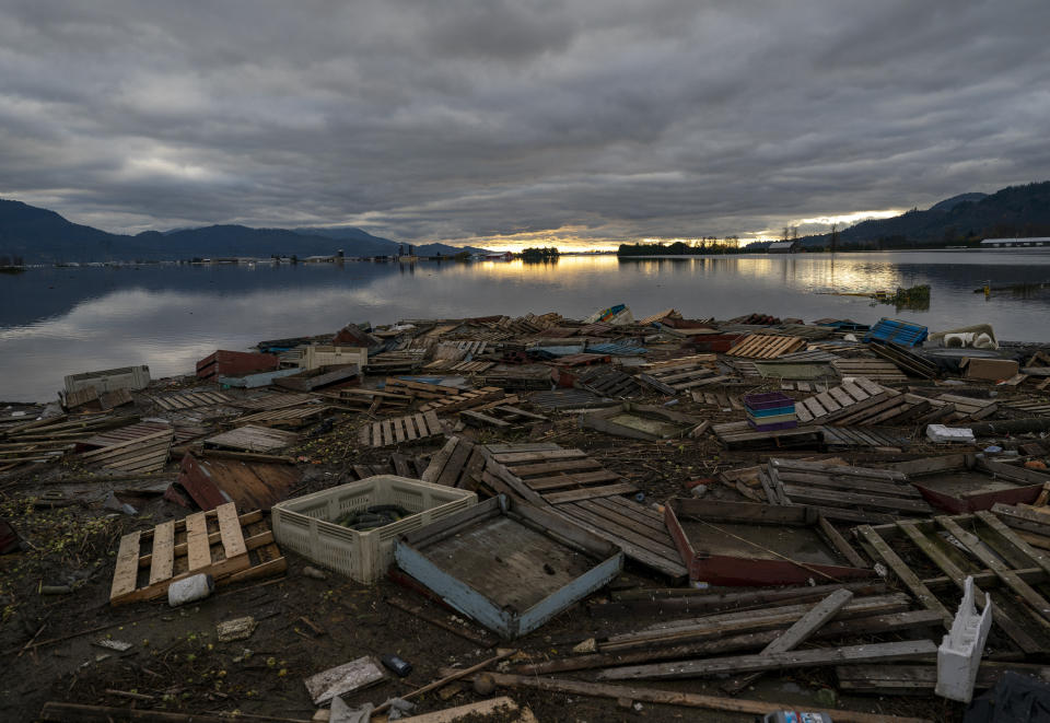 Debris is piled up as farms are surrounded by flood waters caused by heavy rains and mudslides in Abbotsford, British Columbia, Friday, Nov. 19, 2021. (Jonathan Hayward/The Canadian Press via AP)
