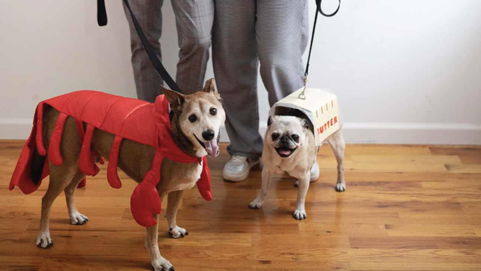 funny halloween costumes