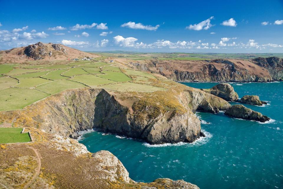 9) Look out for rare wildlife along the Wales Coast Path