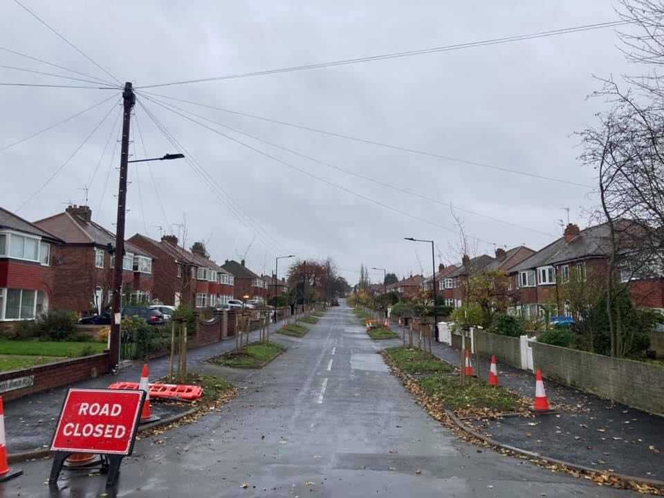 Middlefield Road after 60 lime trees were chopped downRichard Needham