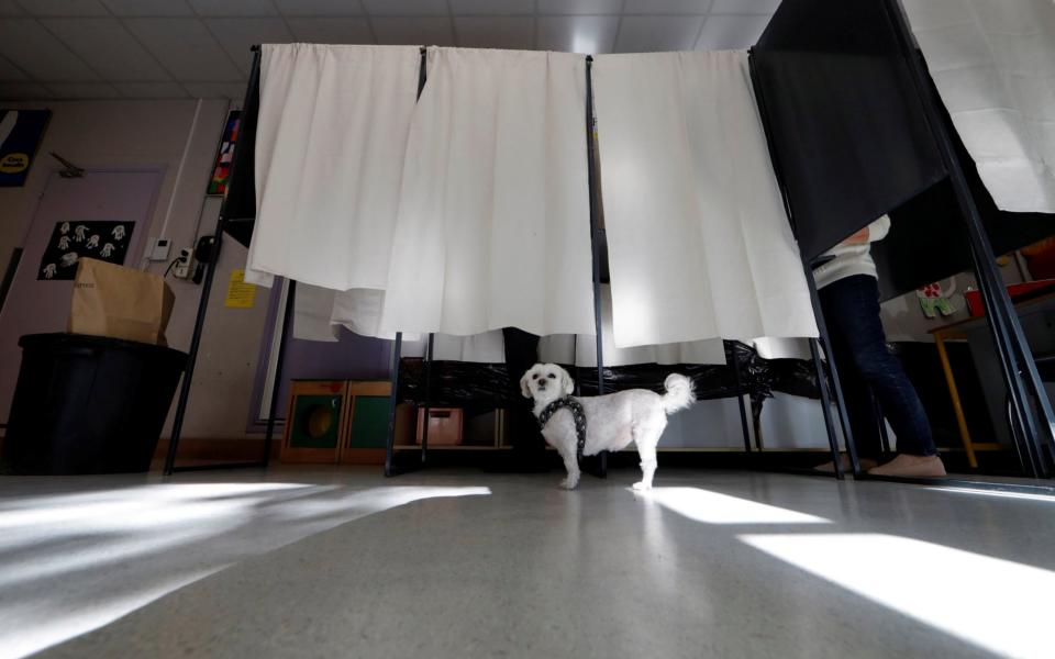 A dog waits as its owner participates in the first round of 2017 French presidential election in Nice - Credit: ERIC GAILLARD/REUTERS