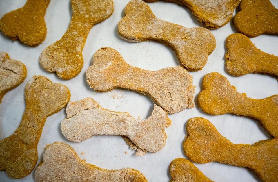 Bone-shaped dog treat dough cutouts wait to go in the oven on Thursday, April 14, 2022, at St. Alban's Episcopal Church in Indianapolis. Buttermilk Mountain, started by Jodi Maslanka, sells dog biscuits made by adults with disabilities. The treats are made from turmeric, cinnamon, pumpkin, flour, eggs and vitamin E.