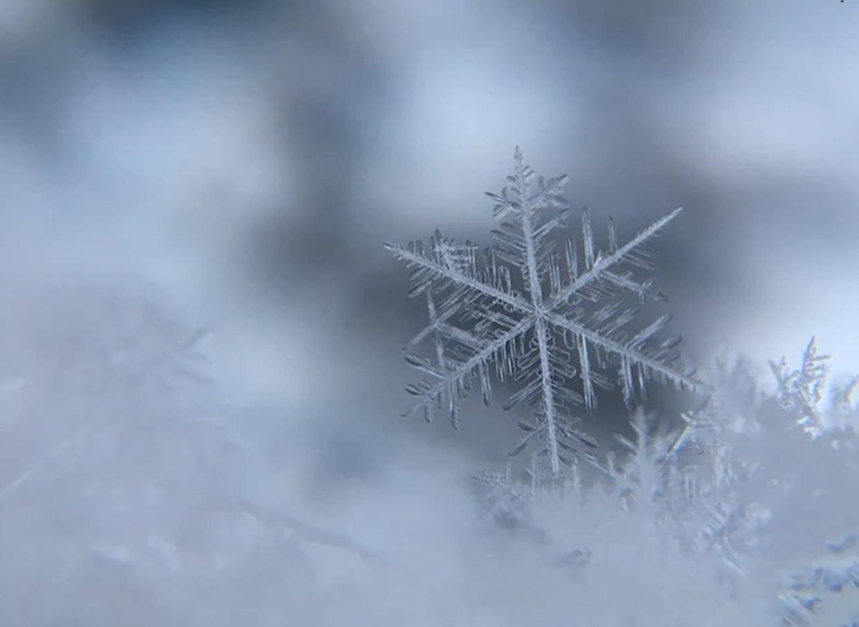 If you catch a snowflake, take a moment to look at it: It's a formation no one has ever seen before. (Damian McCoig/Unsplash)