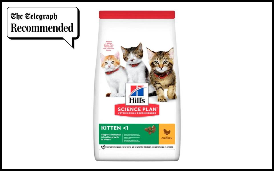 Hills Science Plan Kitten Food best cat food 2023