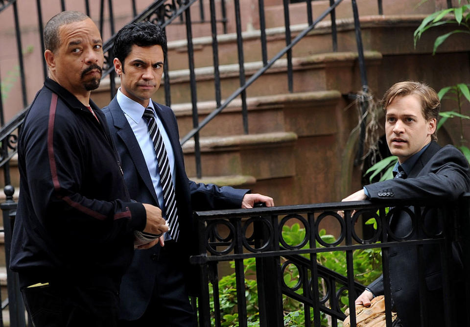 'Law & Order: SVU' Season 13 Guest Stars