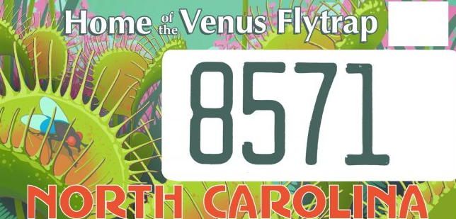 The new “Home of the Venus Flytrap” license plate that will be available from the NC DMV. (North Carolina Botanical Garden)