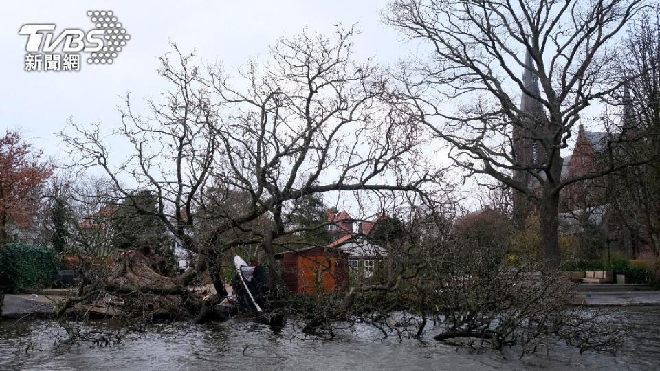 英國及歐洲大陸18日傳出多起樹倒奪命事故。（圖／達志影像美聯社）