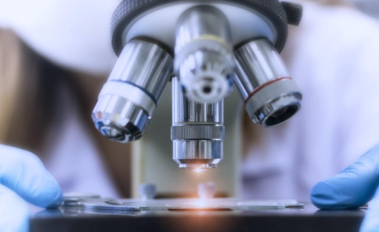 U.S. science policy can support anything from basic research to late-stage applications. <a href="https://www.gettyimages.com/detail/photo/close-up-picture-of-microscope-in-the-laboratory-royalty-free-image/1220985719?phrase=laboratory%20scientist&adppopup=true" rel="nofollow noopener" target="_blank" data-ylk="slk:Anchalee Phanmaha/Moment via Getty Images;elm:context_link;itc:0;sec:content-canvas" class="link ">Anchalee Phanmaha/Moment via Getty Images</a>