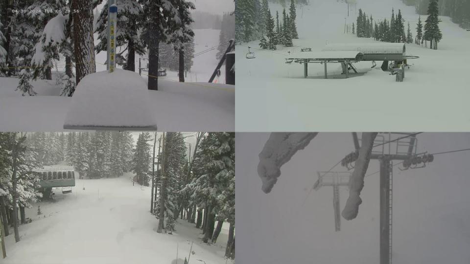 <em>All images pulled from Mt. Hood Meadows Webcams at ~7:15AM PT: Snow Stake (Top Left), Base Area (Top Right), Top of Heather (Bottom Left), Top of Cascade (Bottom Right)</em><p><a href="https://www.skihood.com/mountain-report/mountain-cams" rel="nofollow noopener" target="_blank" data-ylk="slk:Mt. Hood Meadows;elm:context_link;itc:0;sec:content-canvas" class="link ">Mt. Hood Meadows</a></p>