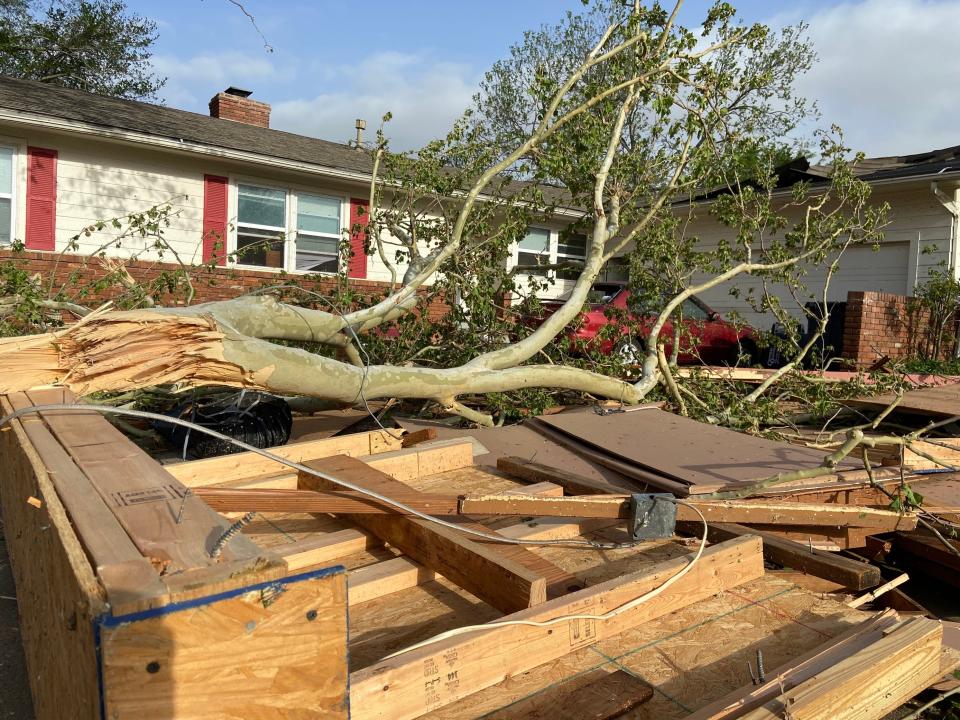 Trees and structures sustained a great deal of tornado damage during the recent April storm in Shawnee.