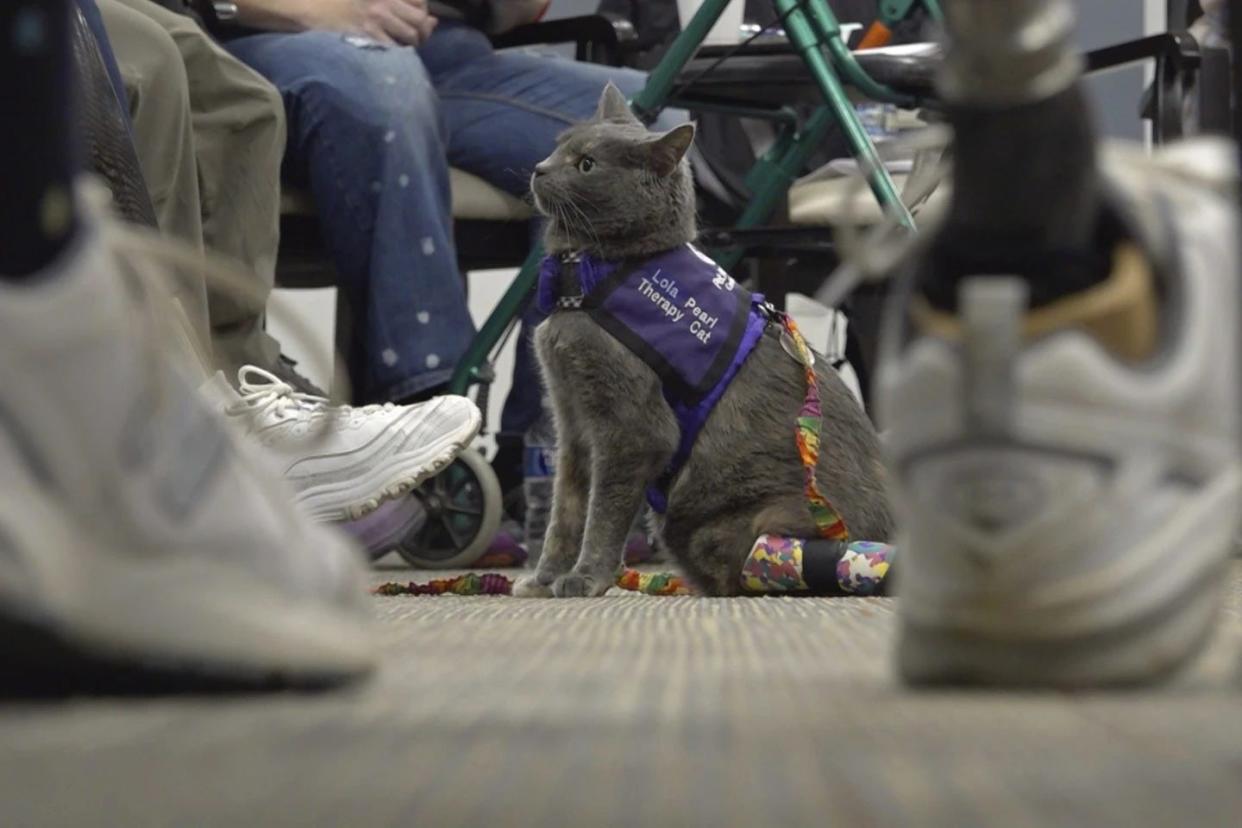 This image taken from video shows Lola-Pearl looking into the camera during an Amputees Coming Together Informing Others' Needs meeting on Monday, Dec. 11, 2023, in Troy, Ohio.