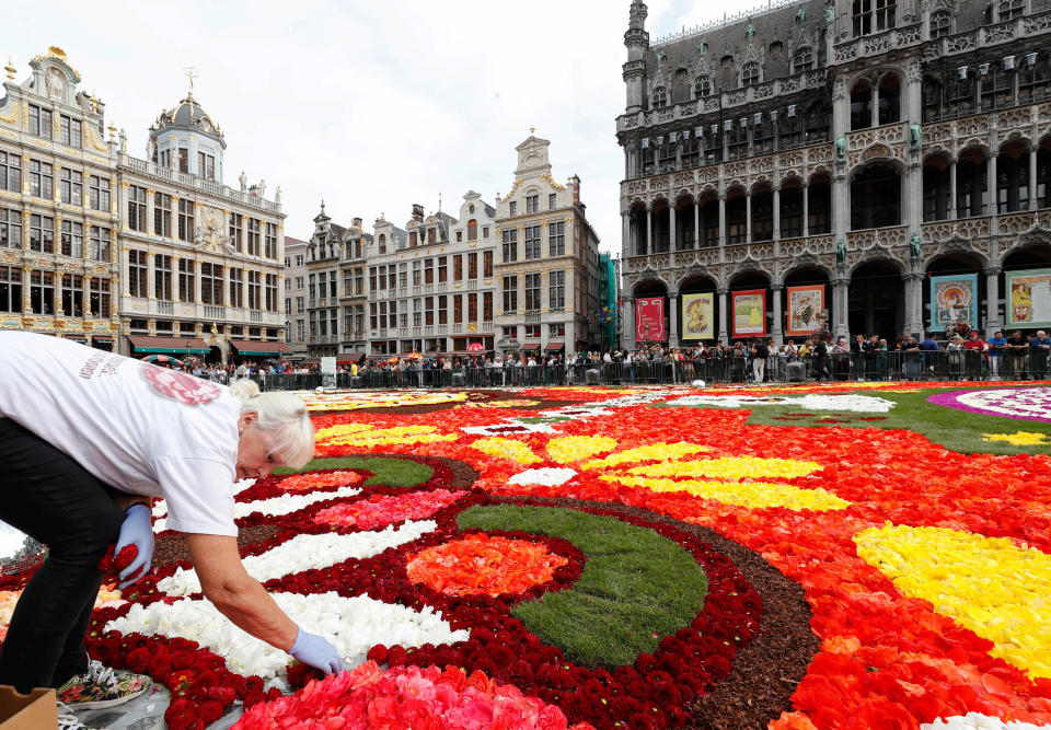 FOTOS | México protagoniza tradicional alfombra floral gigante de Bruselas