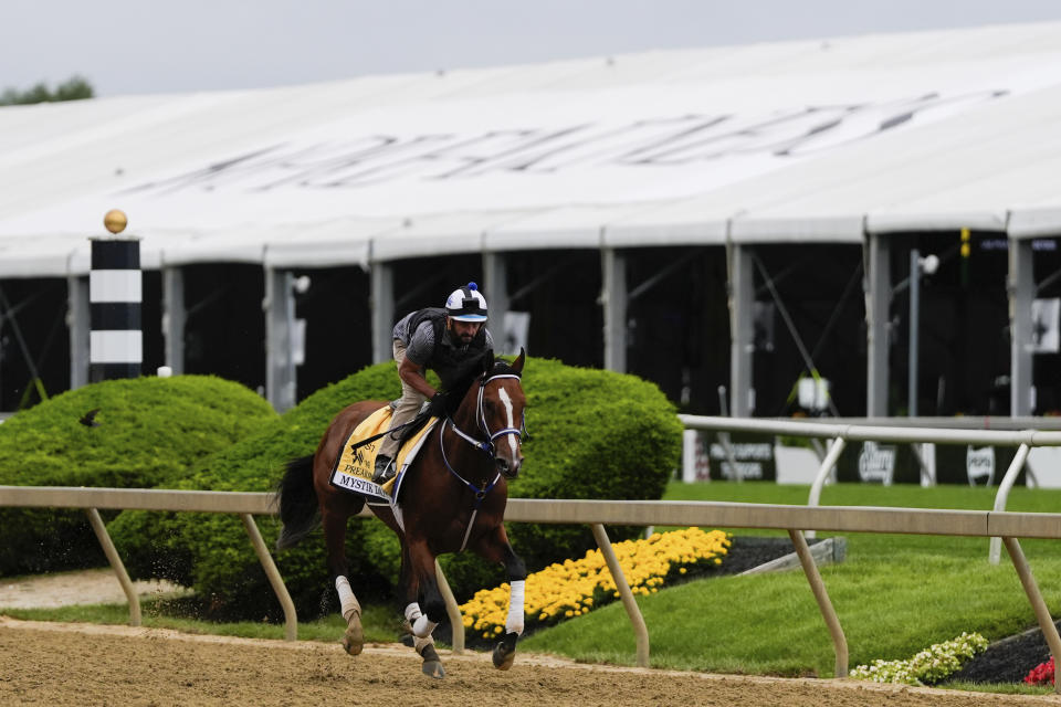 Kentucky Derby winner and Preakness Stakes entrant Mystik Dan works out ahead of the 149th running of the Preakness Stakes horse race at Pimlico Race Course, Friday, May 17, 2024, in Baltimore. (AP Photo/Julia Nikhinson)