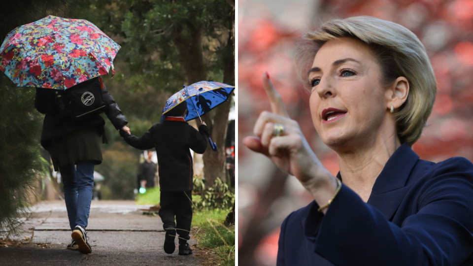 Right: Employment Minister Michaelia Cash. (Source: Getty)