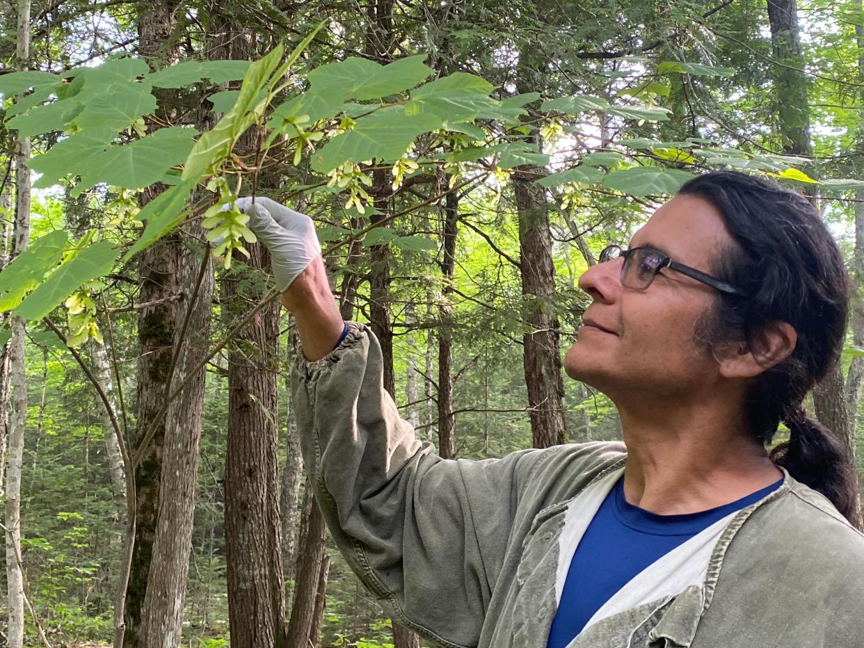 Indigenous Knowledge Keeper Nathan Wright will be sharing his knowledge in an upcoming three-part series with Port Huron Museums.