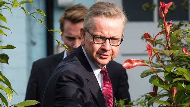 Michael Gove wants to be the next prime minister. Source: Getty.