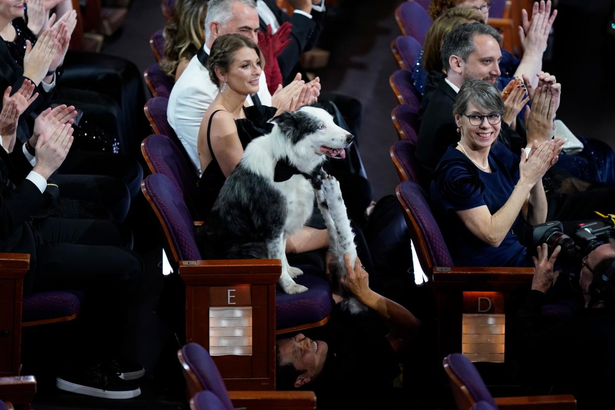Messi the dog is seen in a seat with a person holding prop dog paws below his seat before the start of the 96th Oscars at the Dolby Theatre at Ovation Hollywood in Los Angeles on Sunday, March 10, 2024.