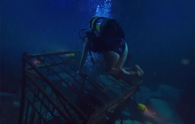 The girls can't just hang out in the cage because they don't have enough oxygen in their tanks. Source: Dimension Films