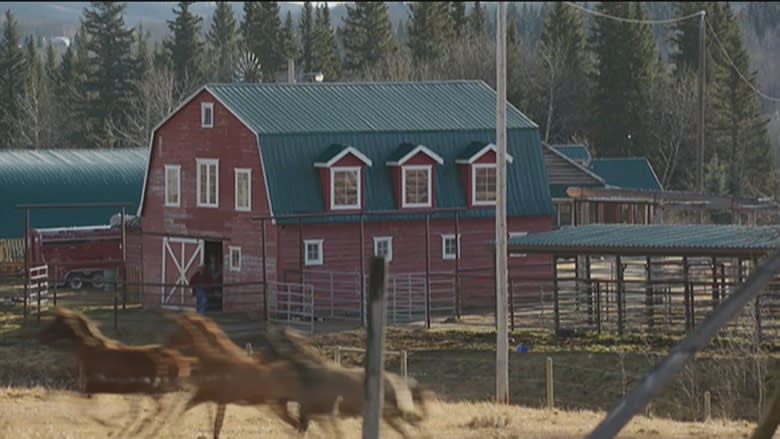 'No limitations': Heartland's Amber Marshall says show, characters evolve as 11th season announced