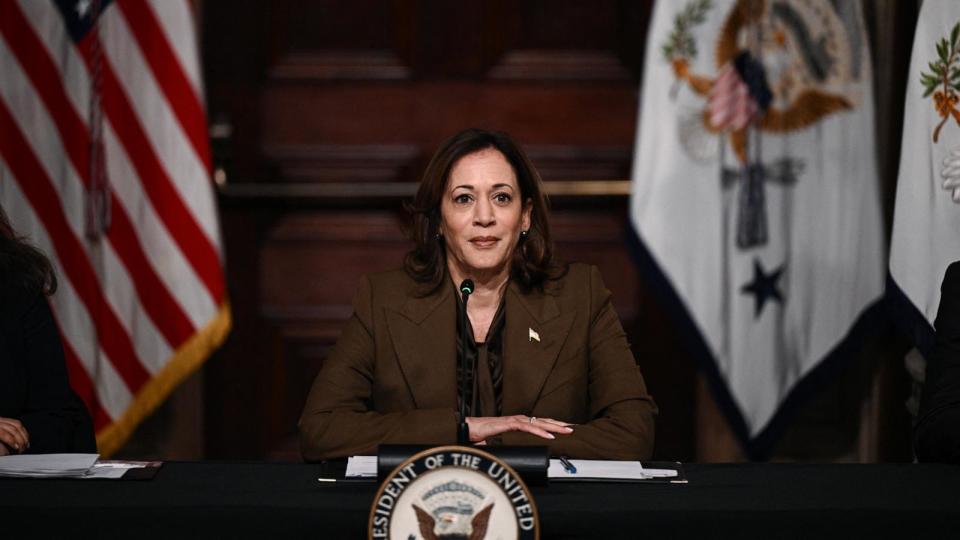 PHOTO: Vice President Kamala Harris attends a meeting with voting rights leaders in the Indian Treaty Room of the Eisenhower Executive Office Building,  Feb. 27, 2024.  (Brendan Smialowski/AFP via Getty Images)