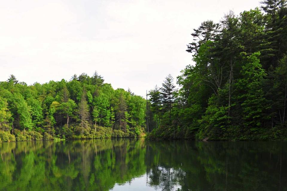 <p>Greg Newington/Getty</p> Lake Toxaway in North Carolina