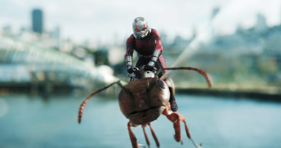 Ant-Man and the Wasp