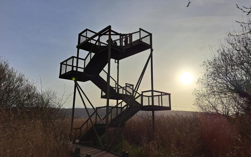 The Skytower at Leighton Moss - James Litston