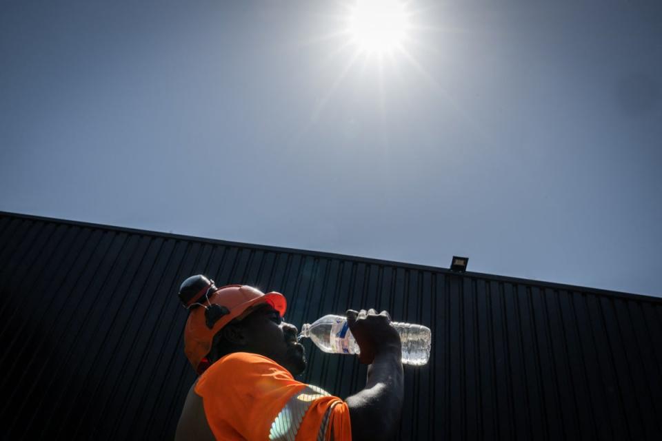 A construction worker pictured drinking water on a hot, sunny day. There are many groups that are more vulnerable to heat-related illness, including patients who take SSRIs or pregnant people (AFP via Getty Images)