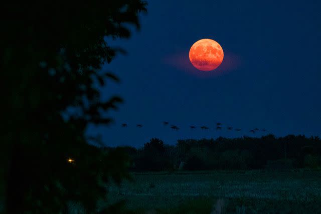 <p>GUILLAUME SOUVANT/AFP via Getty</p> Rare super blue moon in France