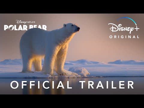 47) Disney Nature: Polar Bear