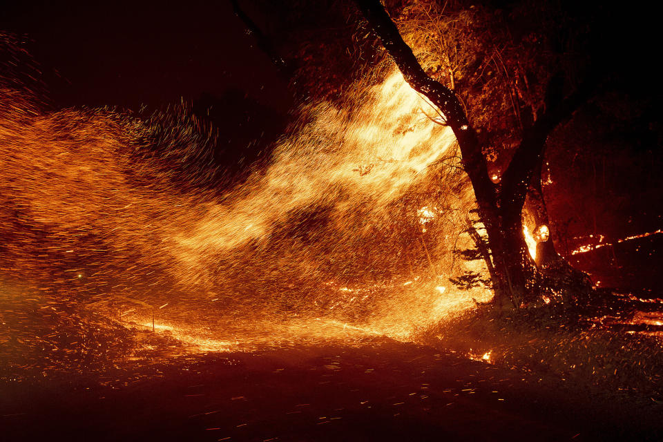 Wind whips embers from a tree as the Kincade Fire burns in unincorporated Sonoma County, Calif., Oct. 24, 2019. (AP Photo/Noah Berger)