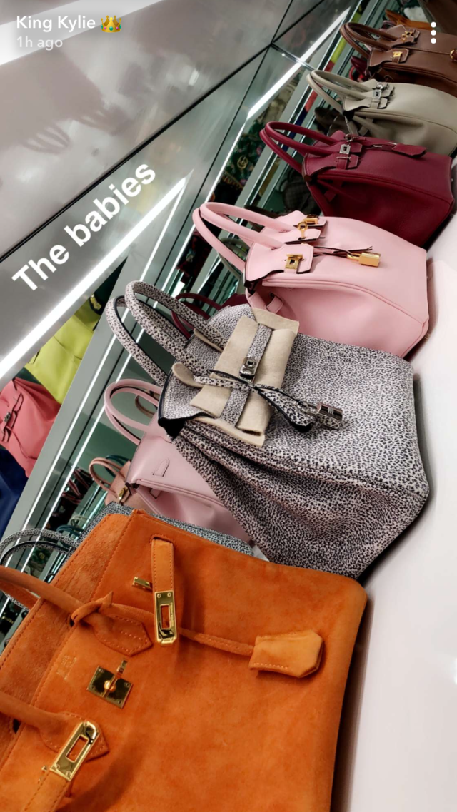 Kylie Jenner Purse Closet - Kylie Jenner 400 Purses