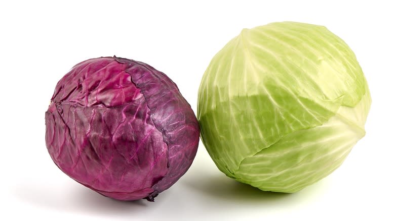 Green and red cabbage