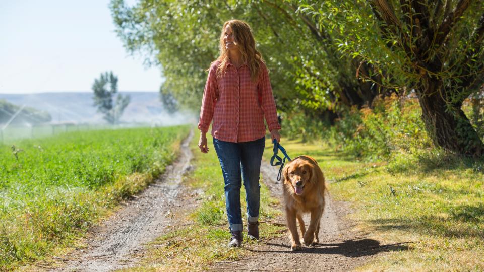 Woman walking dog in countryside