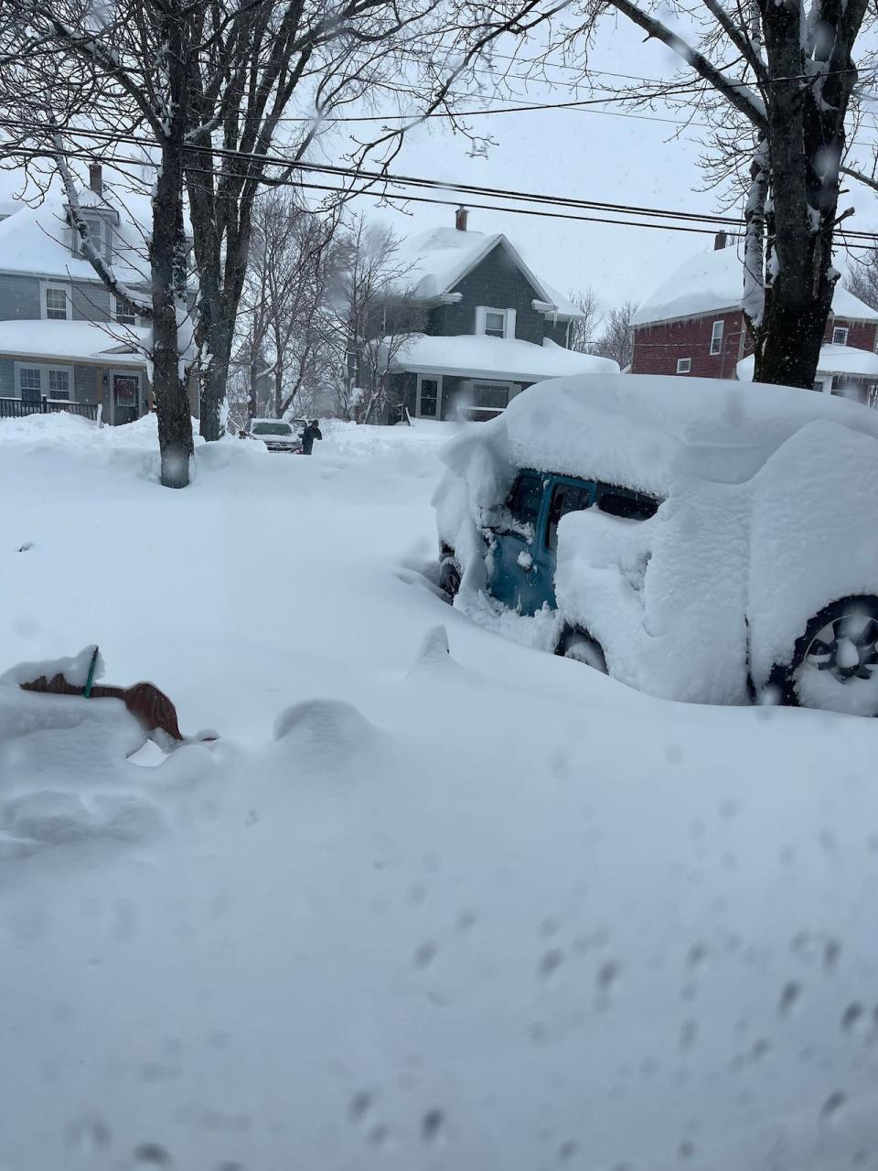 Cheryl Knockwood said its alot of work to clear the driveway and walkway at their home in Sydney, N.S. 