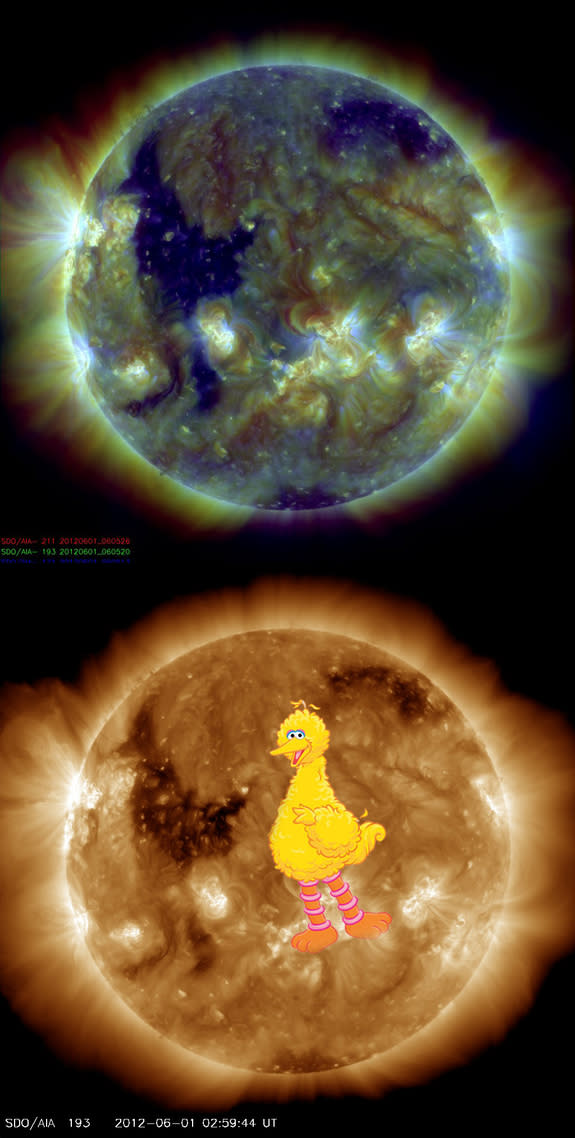 This photo from NASA's Solar Dynamics Observatory (SDO) spacecraft, snapped on June 1, 2012, shows what looks like Big Bird on the surface of the sun (SDO staff added the picture of Big Bird). The feature is actually a coronal hole, a dark area