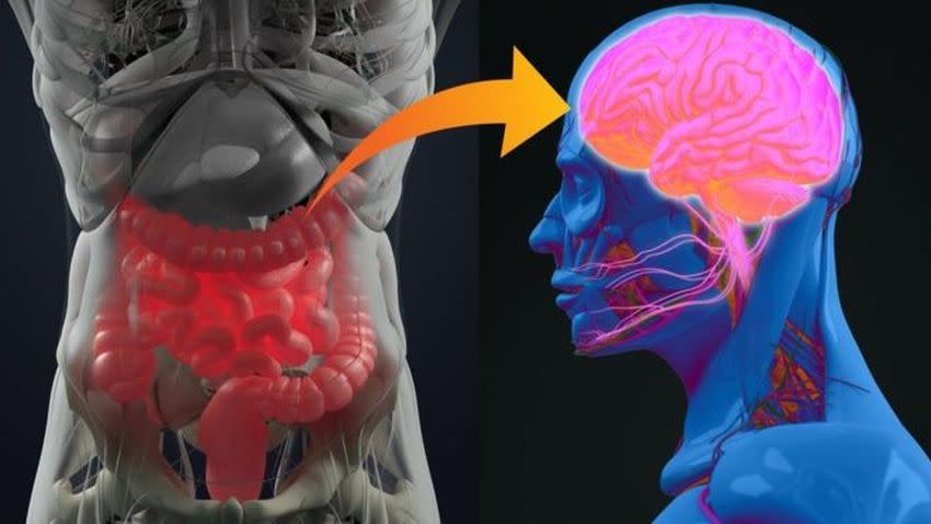 ¿Cómo influye una apendicectomía en el riesgo de padecer Parkinson con la edad?