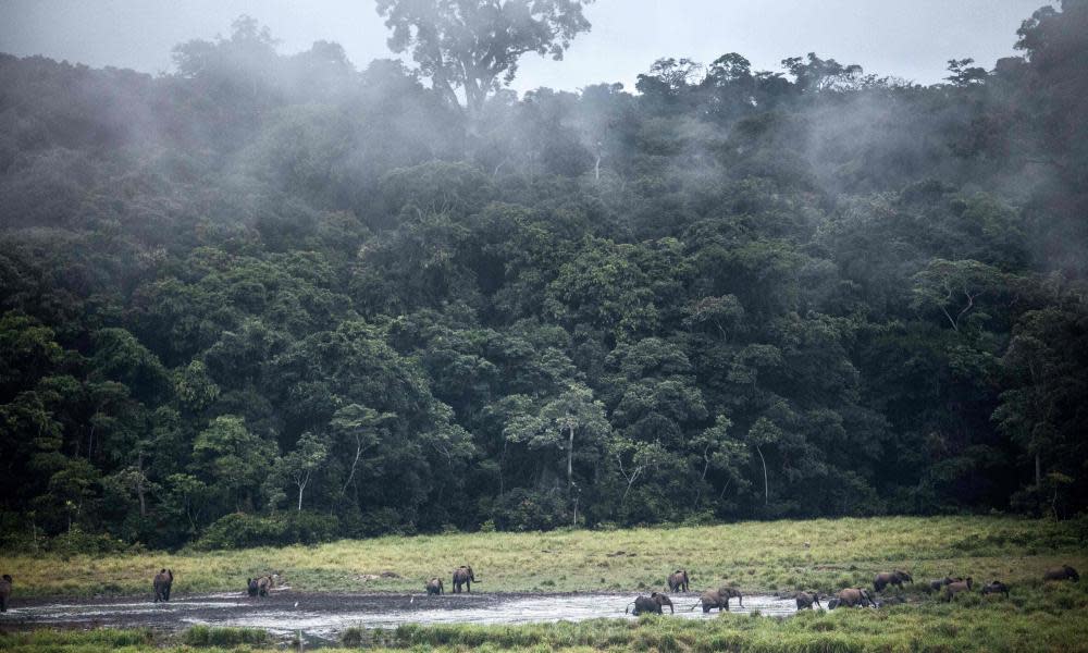 <span>Photograph: Amaury Hauchard/AFP/Getty Images</span>