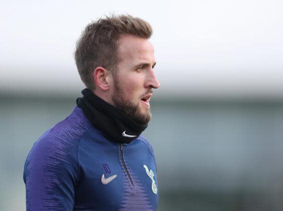 Harry Kane could return this season (Getty)