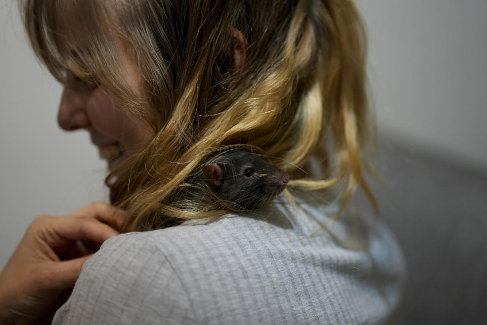 Solana Pesca holds one of her two pet rats, Reggea, at home in Buenos Aires, Argentina, Thursday, Sept. 16, 2021. Pesca, a zoo worker who handles rats as food for other animals, adopted Reggea as a pet when it was gifted to her during the COVID-19 pandemic lockdown, when she started living alone for the first time. (AP Photo/Natacha Pisarenko)