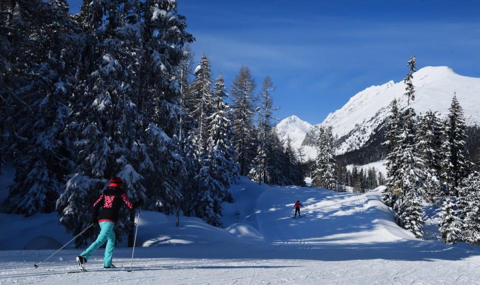 Plentiful cross-country pistes mean Štrbské Pleso is skiable even in bad weather (Štrbské Pleso)