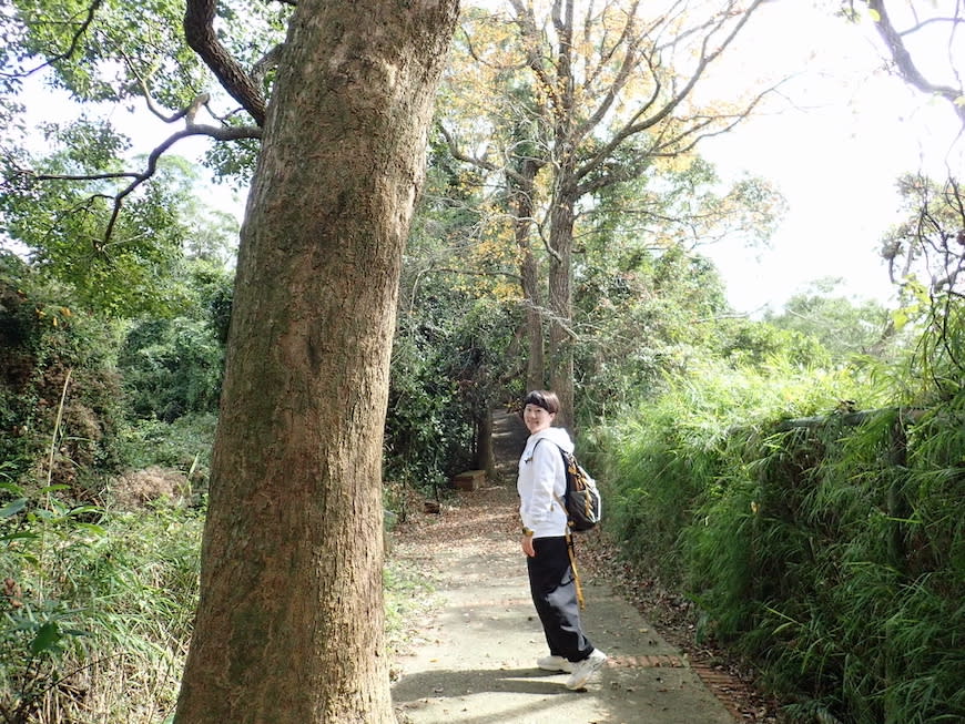 新竹十二寮登山步道