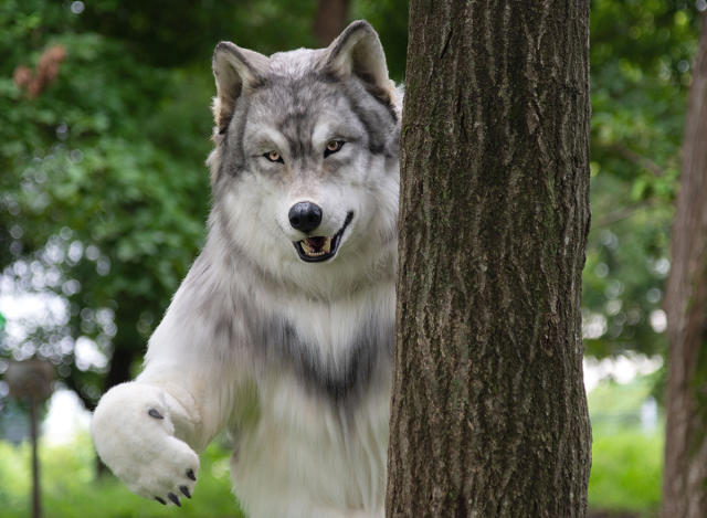 realistic wolf costume for kids
