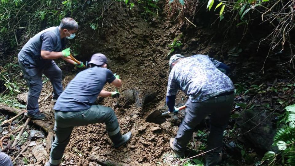 工作人員於距離武界產業道路不到100公尺處發現被掩埋的東卯山黑熊遺體。 （圖／林務局提供） 