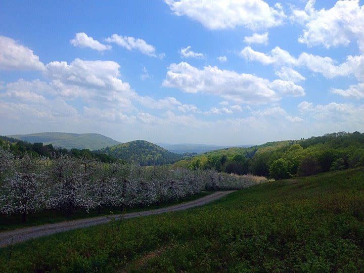 21) Scott Farm, Vermont